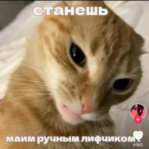 cupsize - горите в аду (snipet)