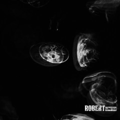 Robert Hoff - Brain Damage EP [Bandcamp Exclusive]