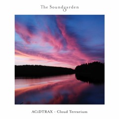 ACiDTRAX - Cloud Terrarium (Extended Mix)