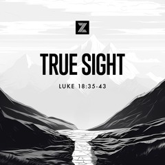 The Road to Jerusalem | True Sight, Luke 18:35-43 | Week 37