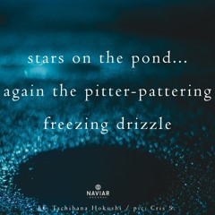 Stars On The Pond... (Naviarhaiku 561 )