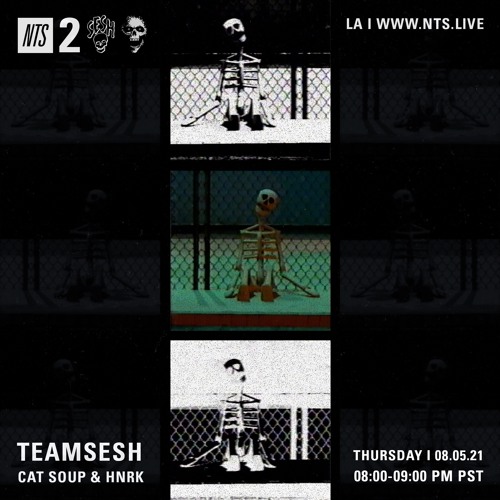 TeamSESH NTS 5th August 2021: cat soup & hnrk