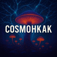 CosmoHKAK - Pilz Power