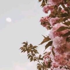 Country Color by Machi.mp3
