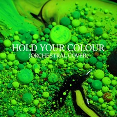 Pendulum - Hold Your Colour (Orchestral Cover)