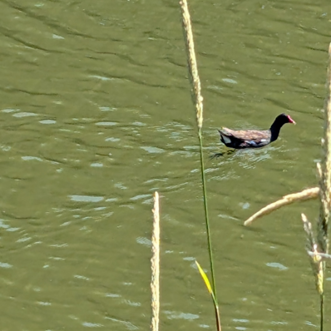 Stream Interlude By Seals Listen Online For Free On Soundcloud