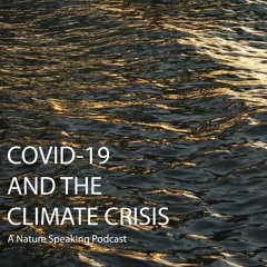 COVID-19 and the Climate Crisis
