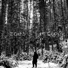 entropy