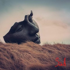 Darkness And The Night