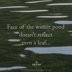 Haiku #540: Face of the winter pond / doesn't reflect / even a leaf...