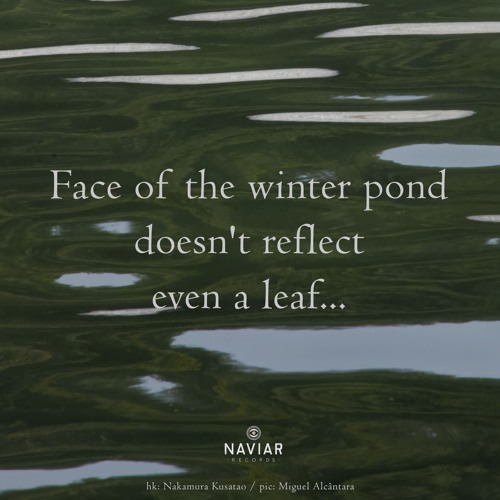 Haiku #540: Face of the winter pond / doesn't reflect / even a leaf...