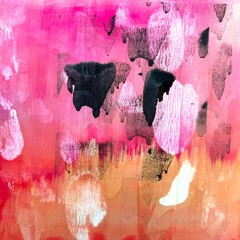 Paul Fleetwood - Secondhand Shade