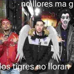 pinkpantheress x los burlaos (lfam madrid)- pain x computers rmx