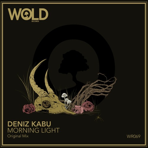 DENIZ KABU - Morning Light (Original Mix)