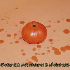 The Amazing Digital Circus Music Box