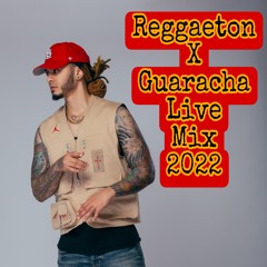 DJ ZOOM - REGGAETON Y GUARACHA MIX (LIVE) 2022