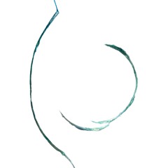 yaoguaai's yesfest winter 2024 set!