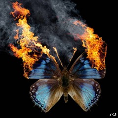 Dangerous ft. Damien Daniels