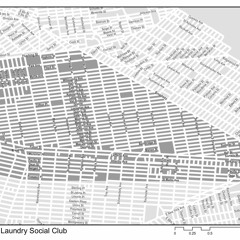 BedStuy Covid Spring 2020