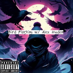 Bird Flocking w/ Alex Haden