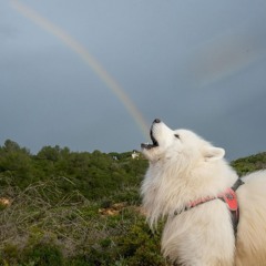 We Outta Here (OG Mix)