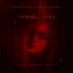 Schiller - I Feel You (Osman Emre Schranz Remix)
