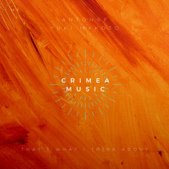 That's What I Think About (ANTON%F remix)