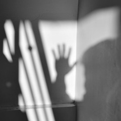 Ghostly Shadows