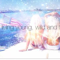 Plasma- rain desert  / p. apx