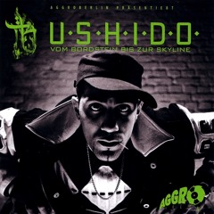 Bushido - Berlin / Denk an mich (Live) ft. Baba Saad