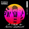 Fade to Sunset [Andrew Weatherall Tribute by Ana Fernandes]