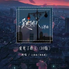 小梁的（梁思琪） - 爱死了昨天 (DJ版)「是我爱死了昨天 誓言割碎你的脸」【動態歌詞/pīn yīn gē cí】#小梁的 #爱死了昨天 #動態歌詞
