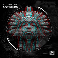 EPIQ010 Introspect - Mayan Technology