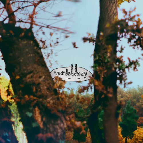 wordsUsay