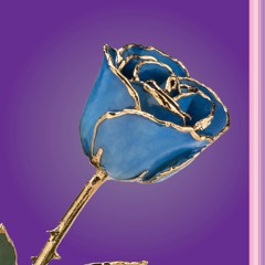 Riddim & Roses