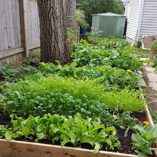 Fit to Eat S4N5 Nicholas Fairbridge