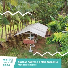 [Meli #004] Abelhas Nativas e o Meio Ambiente - Meliponicultores