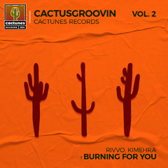 Rivvo, Kimehra - Burning for You