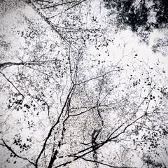 re-stabilize