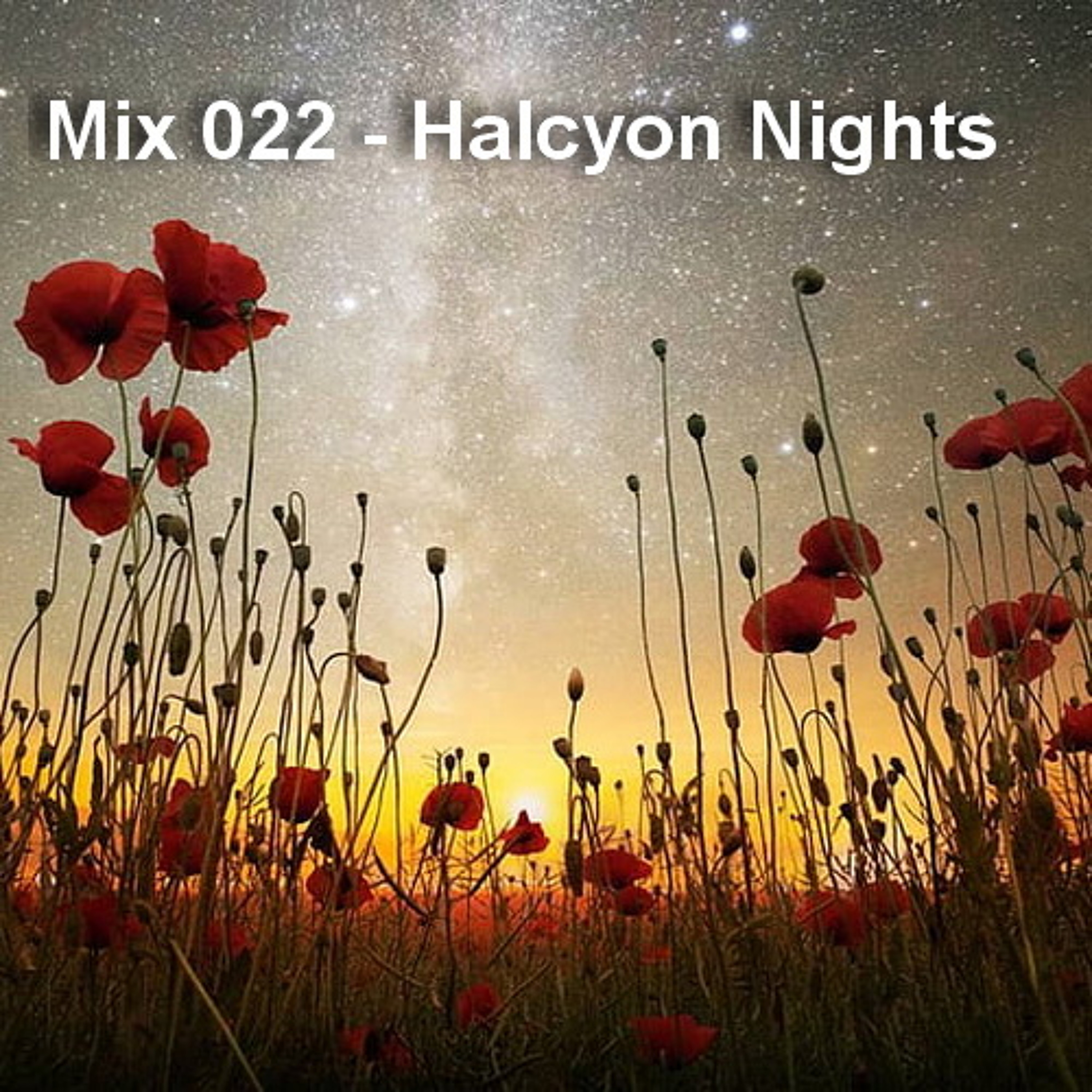 Mix 022: Halcyon Nights