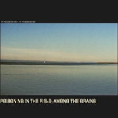 poisoning in the field, among the grains(2025)