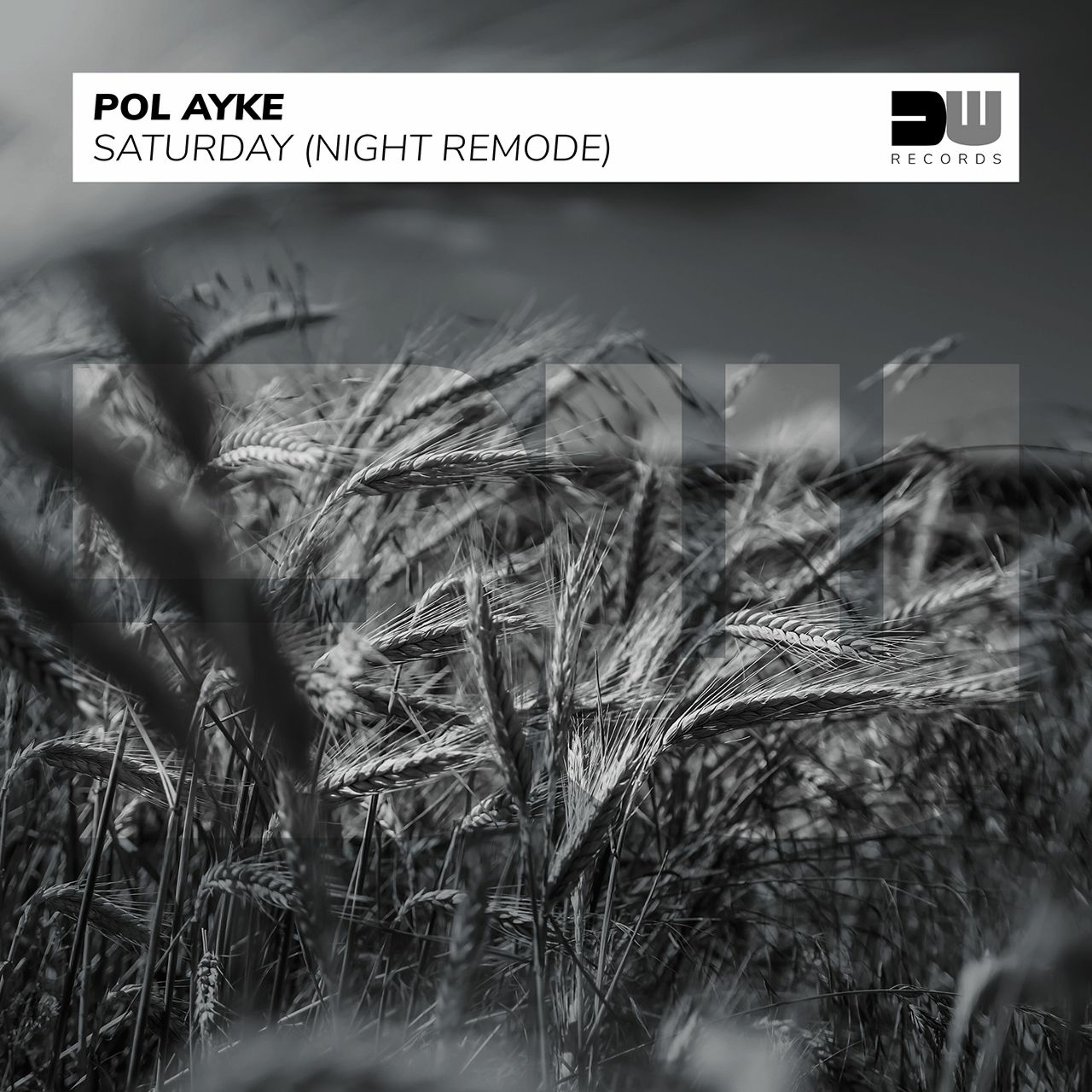 Pol Ayke