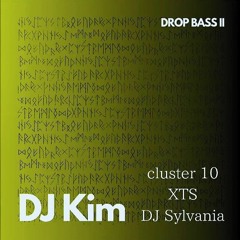 In the END (Extended Mix) / DJ Kim「From Drop Bass ii Album」