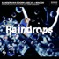 Raindrops (feat. Chacel) [Sam D Remix]