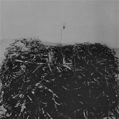 Jordan Dalrymple - Scaffolding