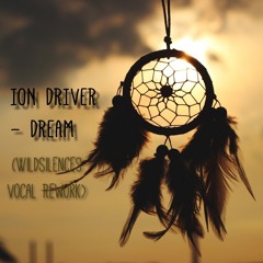 Ion Driver - Dream (Wildsilences Experiment)