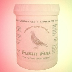 FLIGHT FUEL - Speed Garage / Bassline Mix