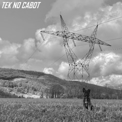 [OSC] Tek No Cabot
