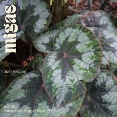 Joel Arcane at migas 20.09.25
