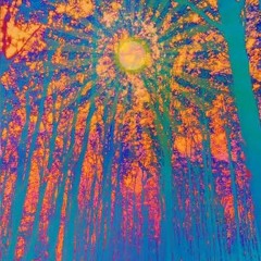 Prism